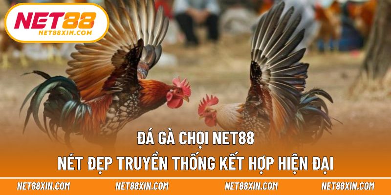 Đá gà chọi